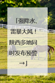 强降水、雷暴大风！陕西多地同时发布预警→