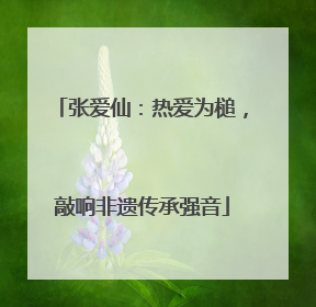 张爱仙：热爱为槌，敲响非遗传承强音