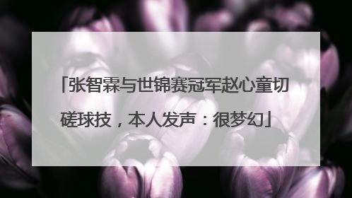 张智霖与世锦赛冠军赵心童切磋球技，本人发声：很梦幻
