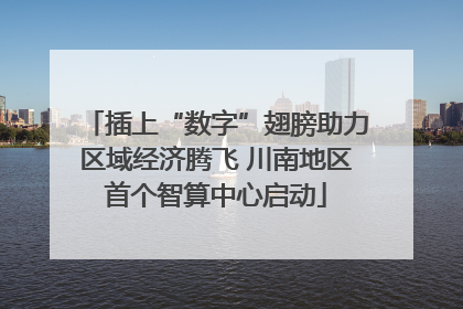插上“数字”翅膀助力区域经济腾飞 川南地区首个智算中心启动