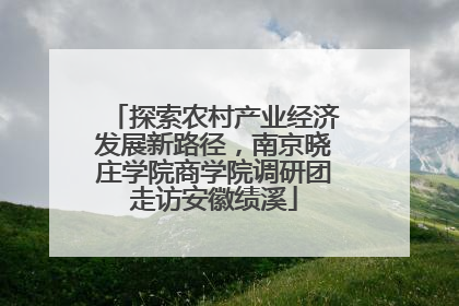 探索农村产业经济发展新路径，南京晓庄学院商学院调研团走访安徽绩溪