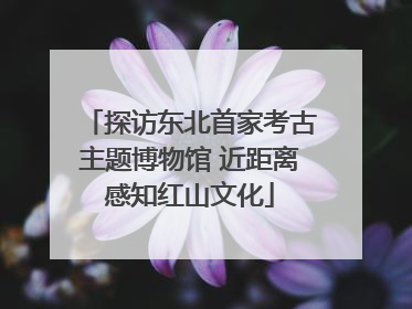 探访东北首家考古主题博物馆 近距离感知红山文化