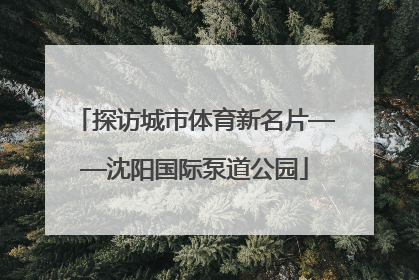 探访城市体育新名片——沈阳国际泵道公园