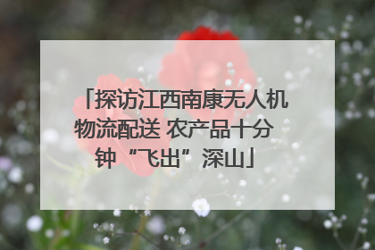 探访江西南康无人机物流配送 农产品十分钟“飞出”深山