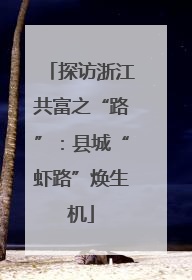 探访浙江共富之“路”：县城“虾路”焕生机