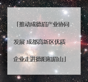 推动成德眉产业协同发展 成都高新区优质企业走进德阳和眉山