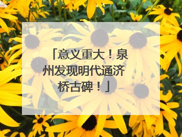 意义重大！泉州发现明代通济桥古碑！