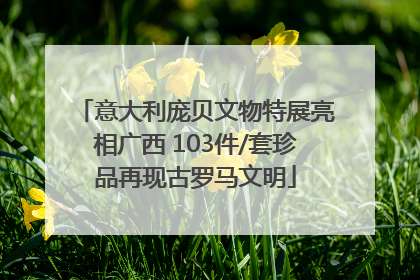 意大利庞贝文物特展亮相广西 103件/套珍品再现古罗马文明