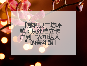 慈利县二坊坪镇：从建档立卡户到“农机达人”的奋斗路