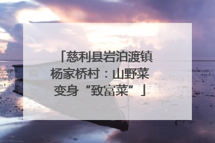 慈利县岩泊渡镇杨家桥村：山野菜变身“致富菜”
