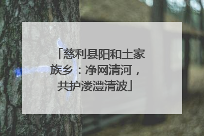 慈利县阳和土家族乡：净网清河，共护溇澧清波