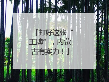 打好这张“王牌”，内蒙古有实力！