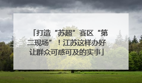 打造“苏超”赛区“第二现场”！江苏这样办好让群众可感可及的实事