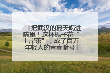 把武汉的夏天喝进嘴里！这杯栀子花“上岸茶”，成了百万年轻人的青春暗号