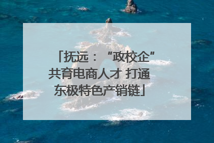 抚远：“政校企”共育电商人才 打通东极特色产销链