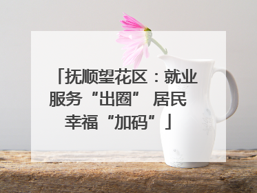 抚顺望花区：就业服务“出圈” 居民幸福“加码”