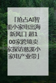 抢占AI智能小家电出海新风口 超100家跨境卖家探访慈溪小家电产业带