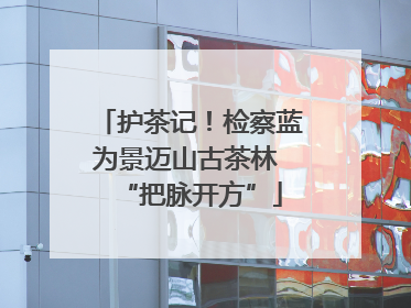护茶记！检察蓝为景迈山古茶林 “把脉开方”