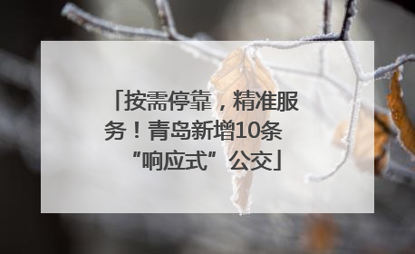 按需停靠，精准服务！青岛新增10条“响应式”公交