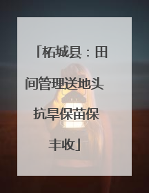 柘城县：田间管理送地头 抗旱保苗保丰收