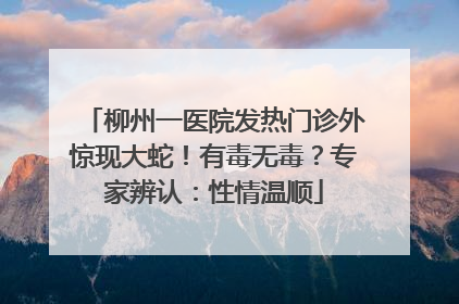 柳州一医院发热门诊外惊现大蛇！有毒无毒？专家辨认：性情温顺