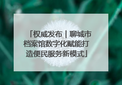 权威发布｜聊城市档案馆数字化赋能打造便民服务新模式