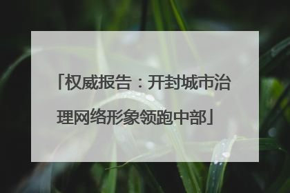 权威报告：开封城市治理网络形象领跑中部