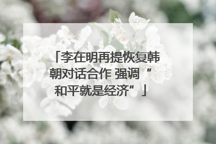李在明再提恢复韩朝对话合作 强调“和平就是经济”