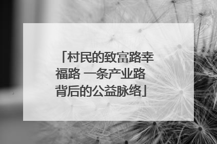 村民的致富路幸福路 一条产业路背后的公益脉络
