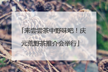 来尝尝茶中野味吧！庆元荒野茶推介会举行