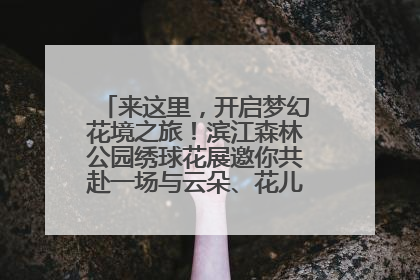来这里，开启梦幻花境之旅！滨江森林公园绣球花展邀你共赴一场与云朵、花儿的浪漫之约