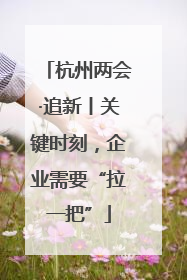 杭州两会·追新丨关键时刻，企业需要“拉一把”