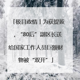 极目政情丨为获提拔，“80后”副区长送给国家工作人员巨额财物被“双开”