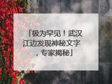 极为罕见！武汉江边发现神秘文字，专家揭秘