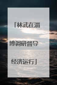 林武在淄博调研督导经济运行