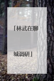林武在聊城调研