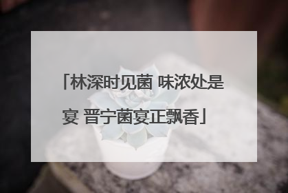 林深时见菌 味浓处是宴 晋宁菌宴正飘香