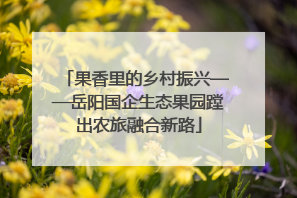 果香里的乡村振兴——岳阳国企生态果园蹚出农旅融合新路