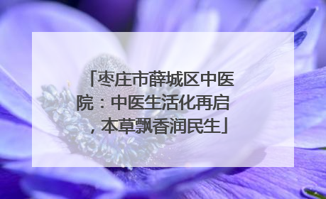 枣庄市薛城区中医院：中医生活化再启，本草飘香润民生