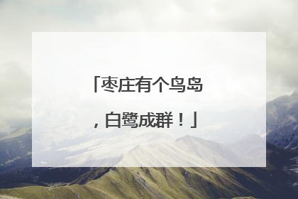 枣庄有个鸟岛，白鹭成群！
