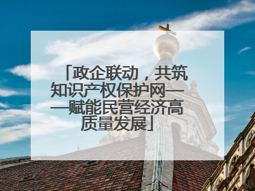 政企联动，共筑知识产权保护网——赋能民营经济高质量发展