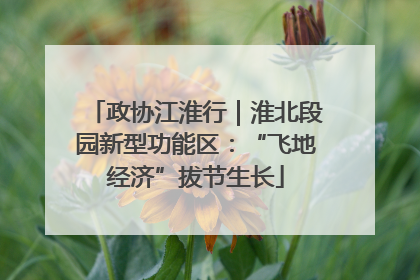 政协江淮行｜淮北段园新型功能区：“飞地经济”拔节生长