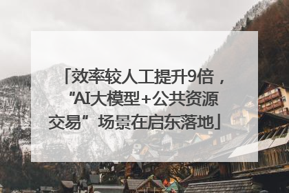 效率较人工提升9倍，“AI大模型+公共资源交易”场景在启东落地