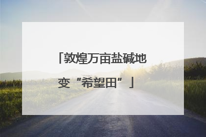 敦煌万亩盐碱地变“希望田”