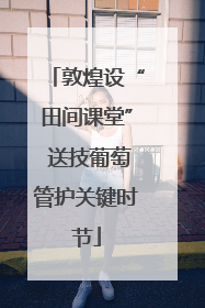 敦煌设“田间课堂” 送技葡萄管护关键时节