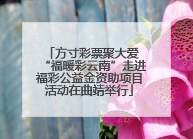方寸彩票聚大爱 “福暖彩云南”走进福彩公益金资助项目活动在曲靖举行