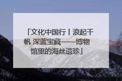 文化中国行丨浪起千帆 深蓝宝藏——博物馆里的海丝遗珍