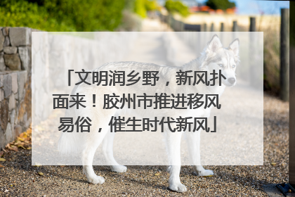 文明润乡野，新风扑面来！胶州市推进移风易俗，催生时代新风