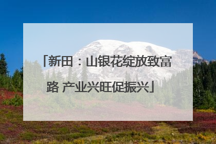 新田：山银花绽放致富路 产业兴旺促振兴