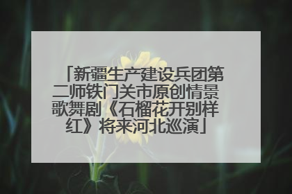 新疆生产建设兵团第二师铁门关市原创情景歌舞剧《石榴花开别样红》将来河北巡演